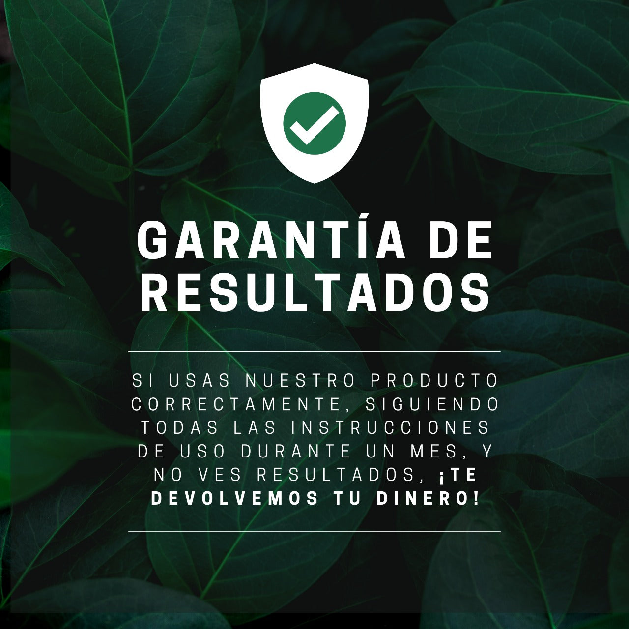 KIT CRECIMIENTO ACELERADO