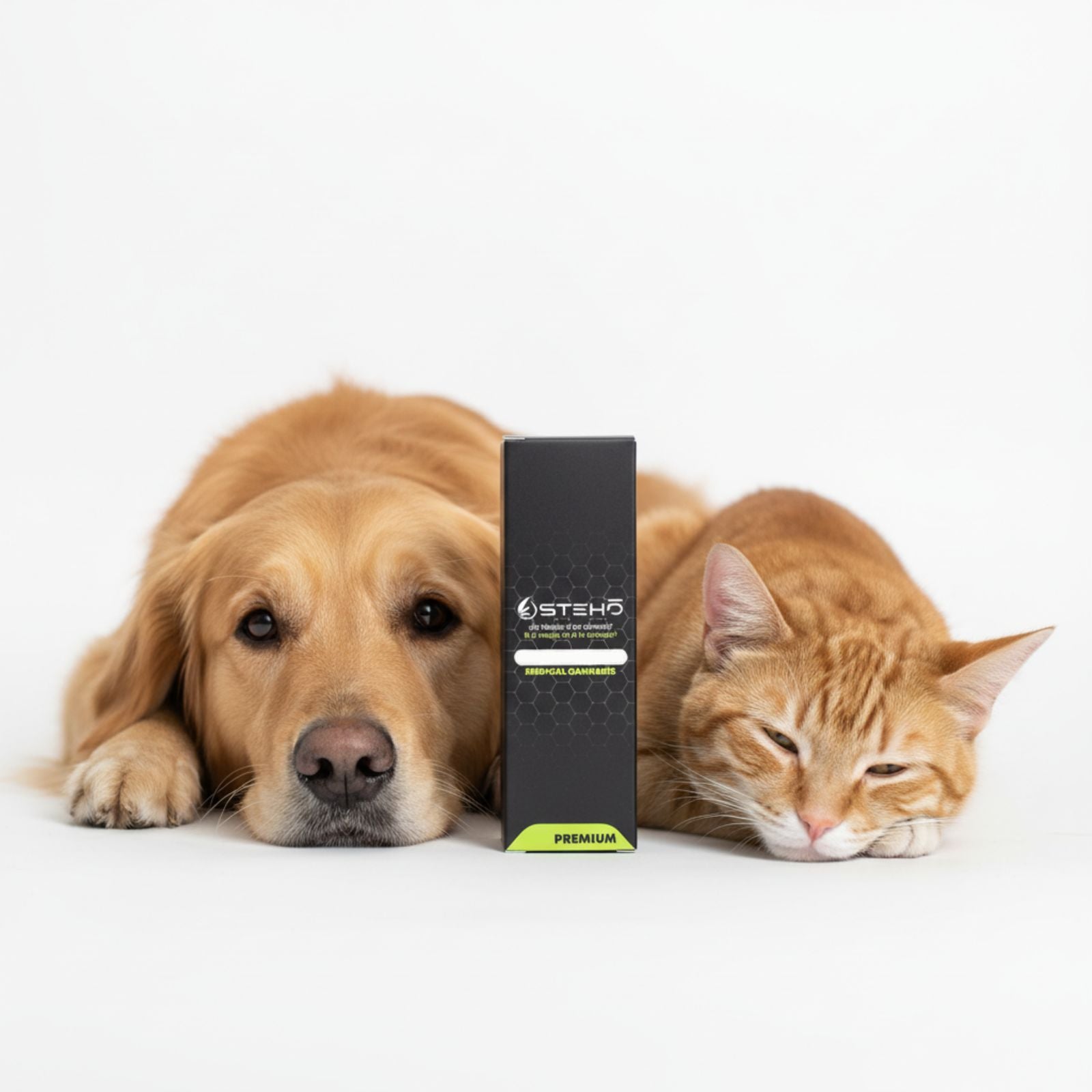 EXTRACTO DE PLANTAS MASCOTAS