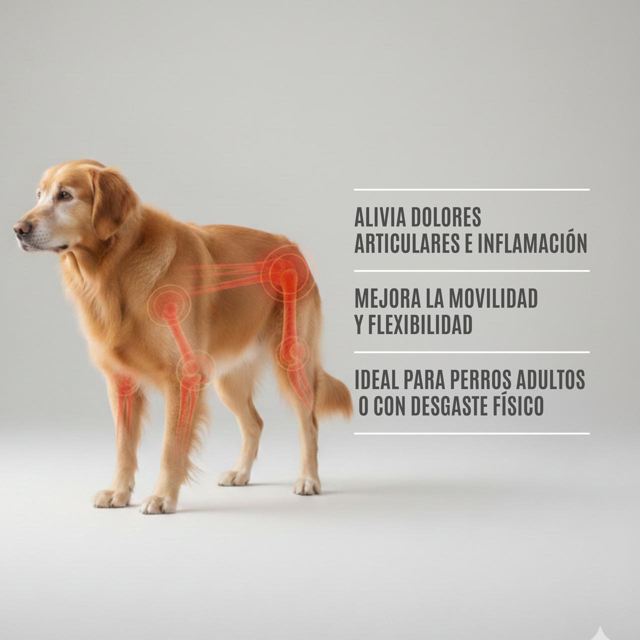 EXTRACTO DE PLANTAS MASCOTAS - DOLOR ARTICULAR & MOVILIDAD
